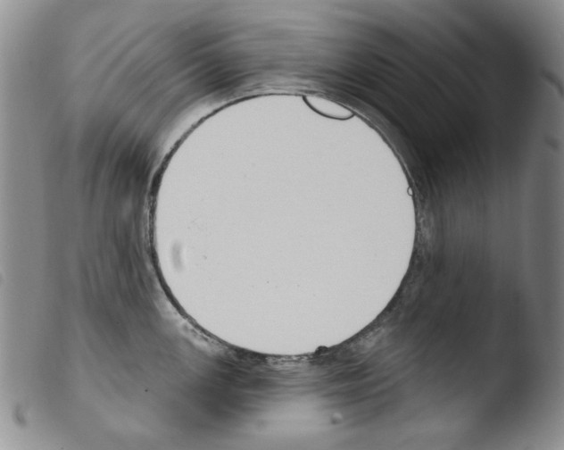 X0000103461147200810240943