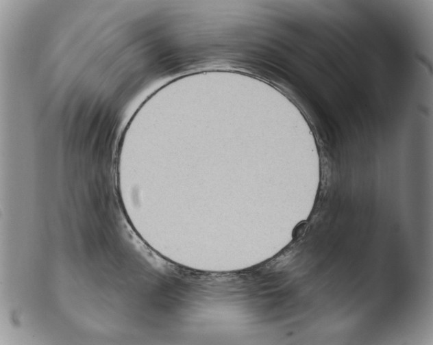 X0000103461148200810240943