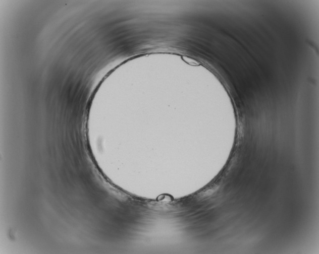 X0000103461149200810240943