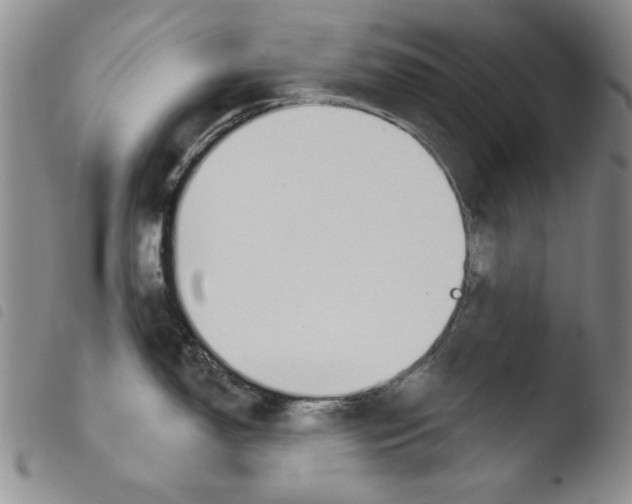 X0000103461150200810240943