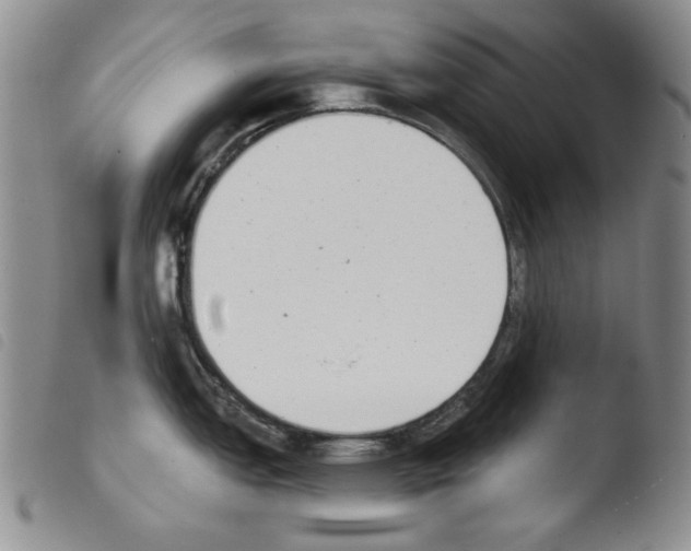X0000103461151200810240943