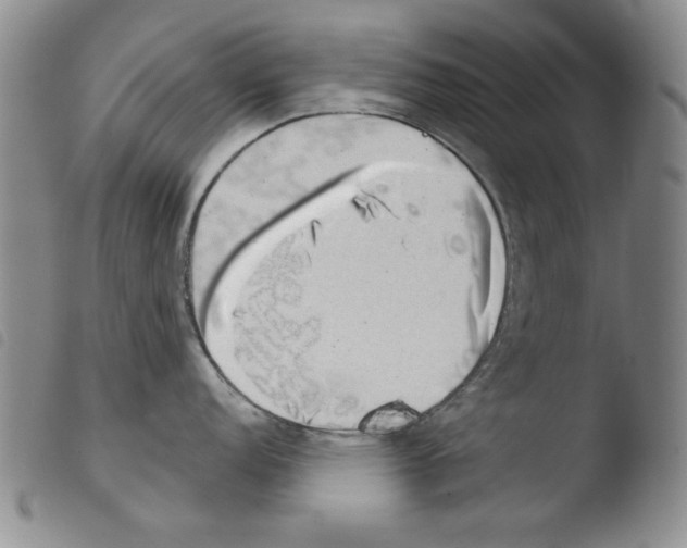 X0000103461152200810240943