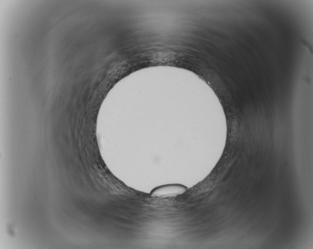 X0000103461153200810240943