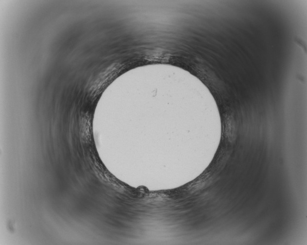 X0000103461154200810240943