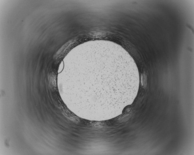 X0000103461155200810240942