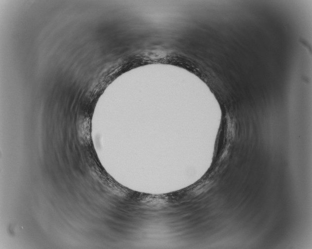 X0000103461156200810240942