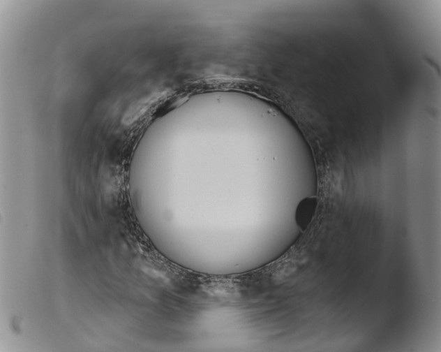 X0000103461157200810240942