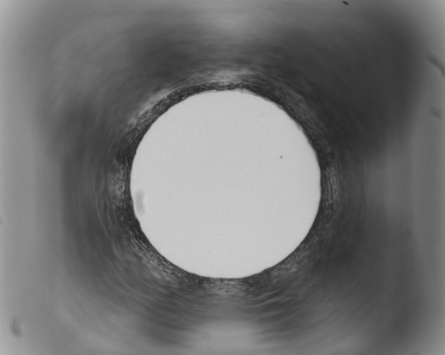 X0000103461158200810240942