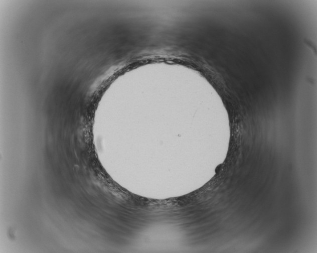 X0000103461159200810240942
