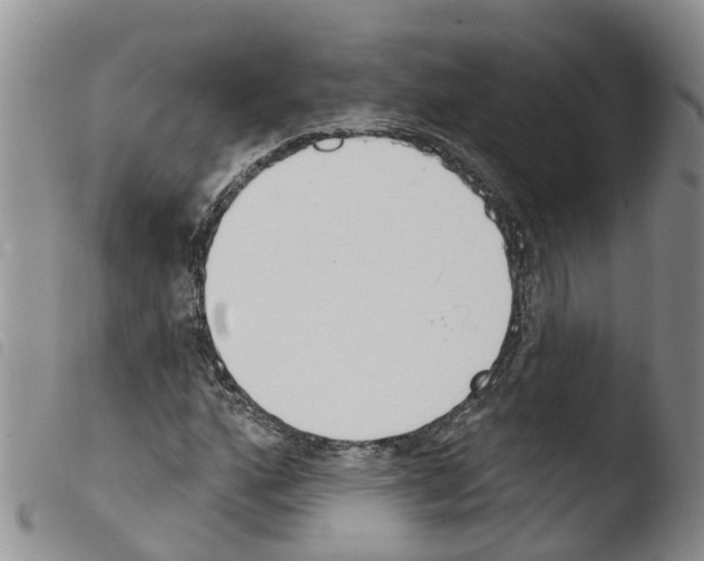 X0000103461160200810240942
