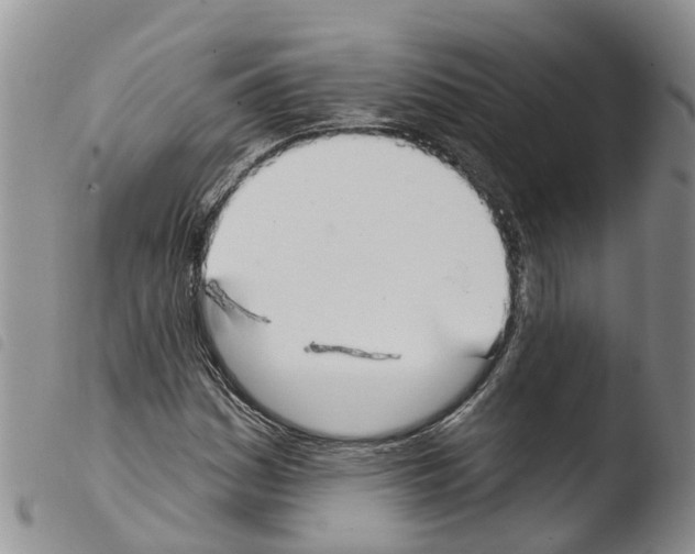 X0000103461161200810240942