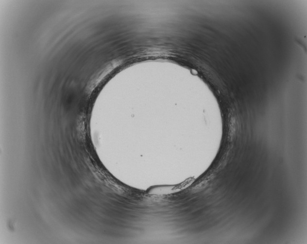 X0000103461162200810240942