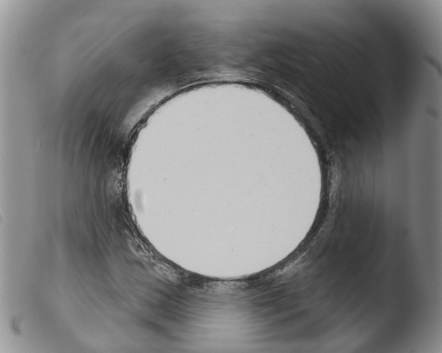 X0000103461163200810240942