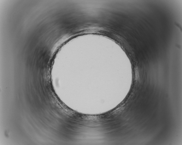 X0000103461164200810240942