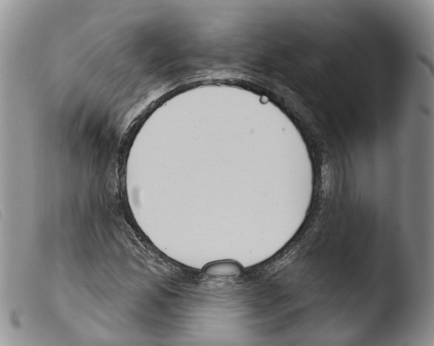 X0000103461165200810240942