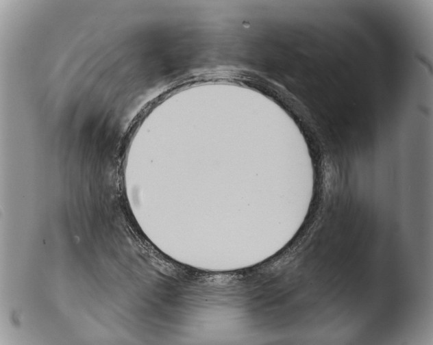 X0000103461166200810240942