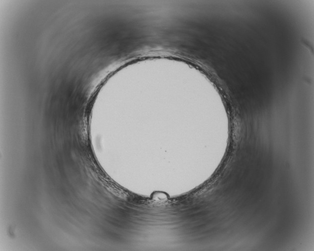 X0000103461167200810240942