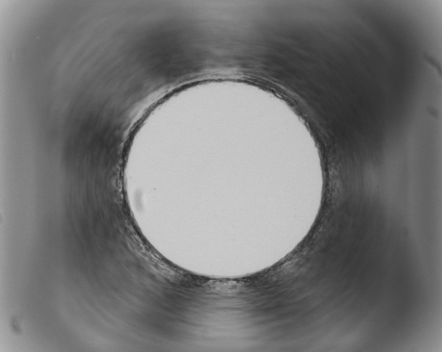 X0000103461168200810240942