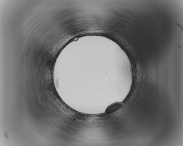 X0000103461169200810240942
