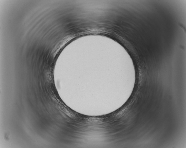 X0000103461170200810240942