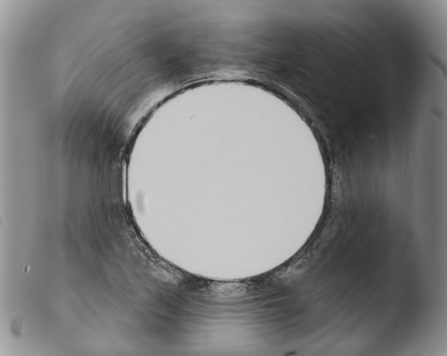 X0000103461171200810240942