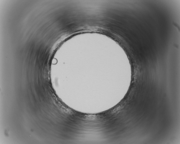 X0000103461172200810240942