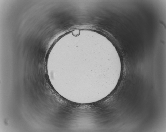 X0000103461174200810240942