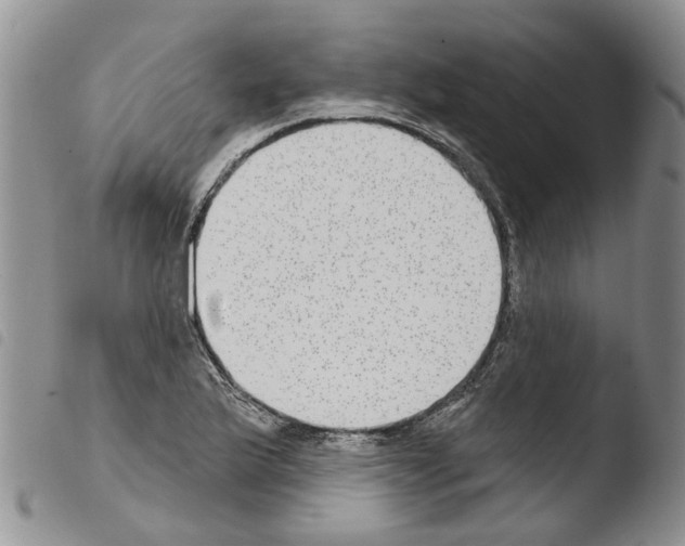 X0000103461175200810240942