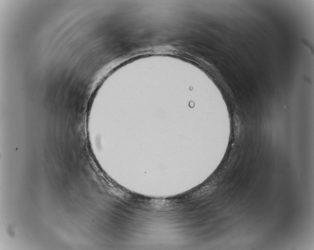X0000103461176200810240942