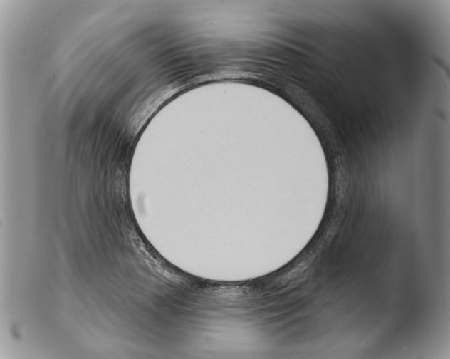 X0000103461177200810240942