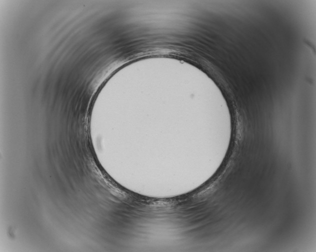X0000103461178200810240942