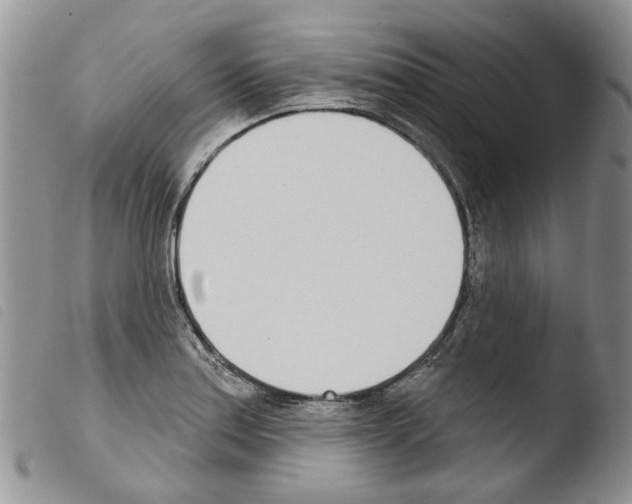 X0000103461179200810240942
