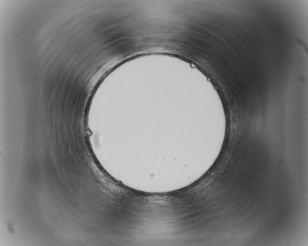 X0000103461181200810240942