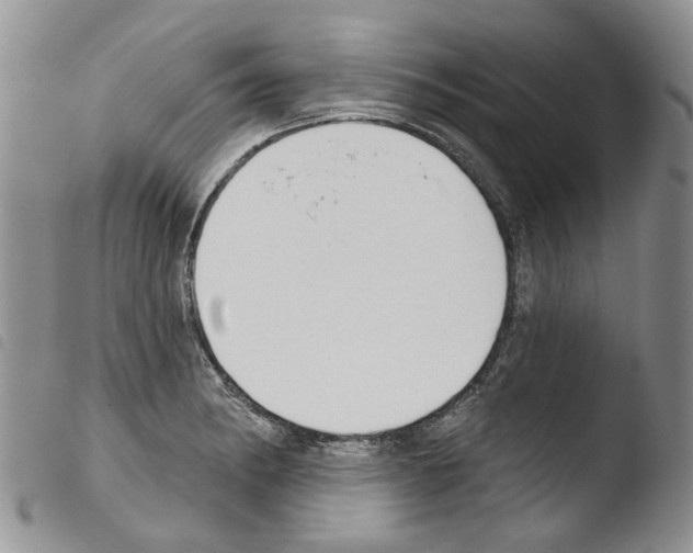 X0000103461182200810240942