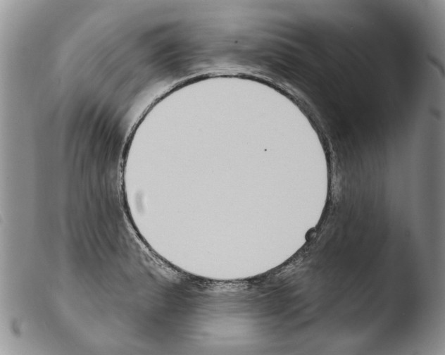 X0000103461183200810240942