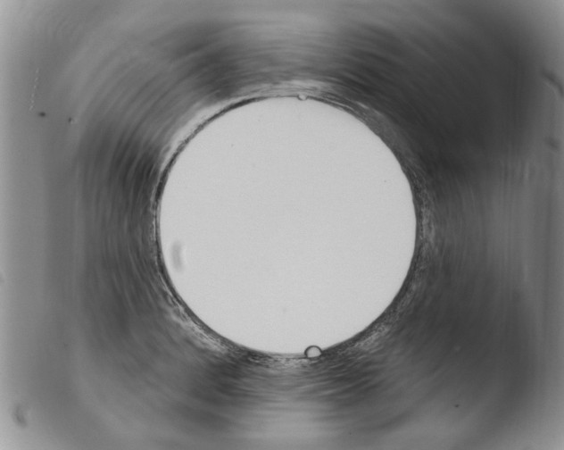 X0000103461184200810240942