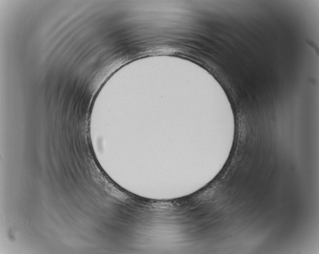 X0000103461186200810240942