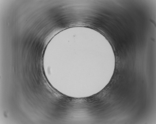 X0000103461187200810240942