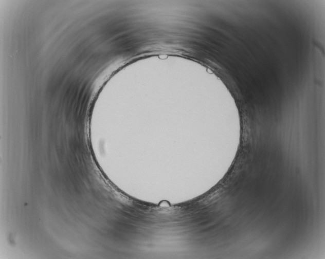 X0000103461188200810240942