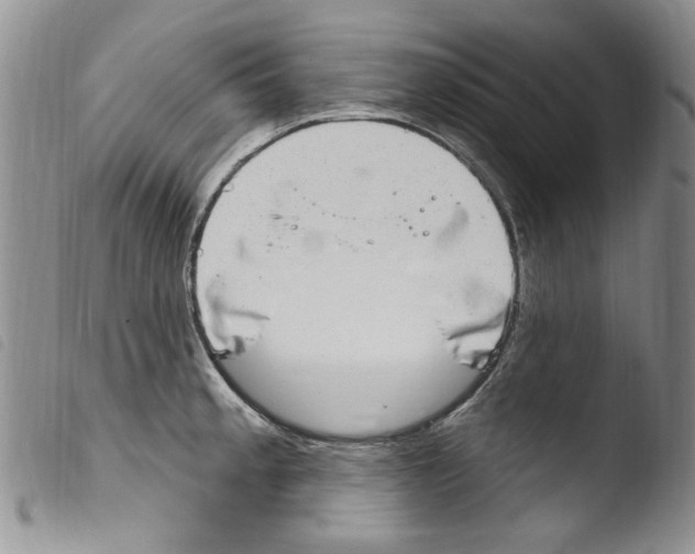X0000103461189200810240942