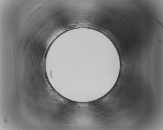 X0000103461190200810240942