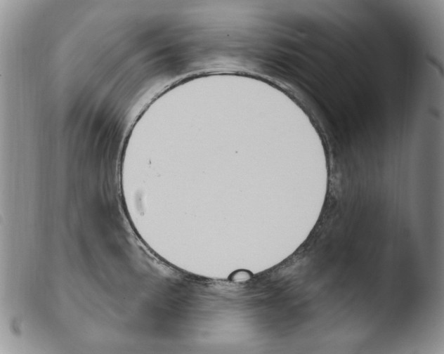 X0000103461191200810240942