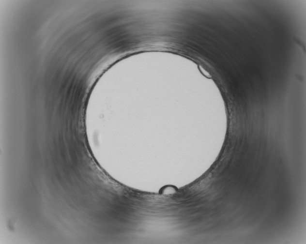 X0000103461192200810240942