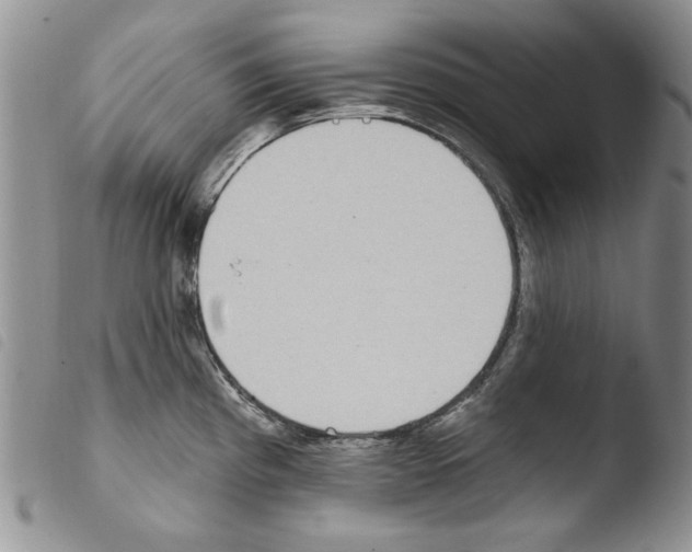 X0000103461193200810240942