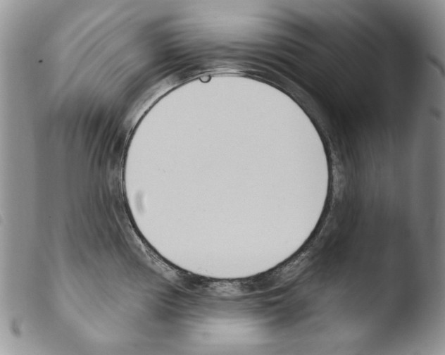 X0000103461194200810240942