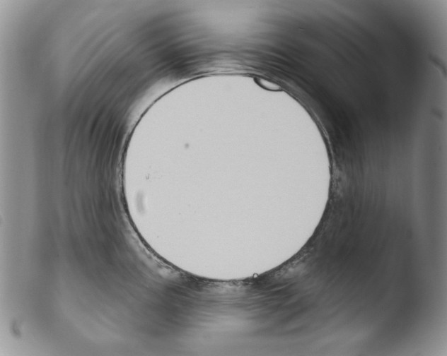 X0000103461195200810240942