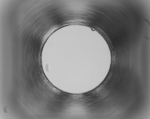 X0000103461196200810240942