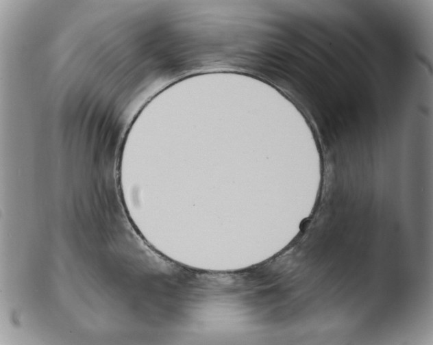 X0000103461197200810240942