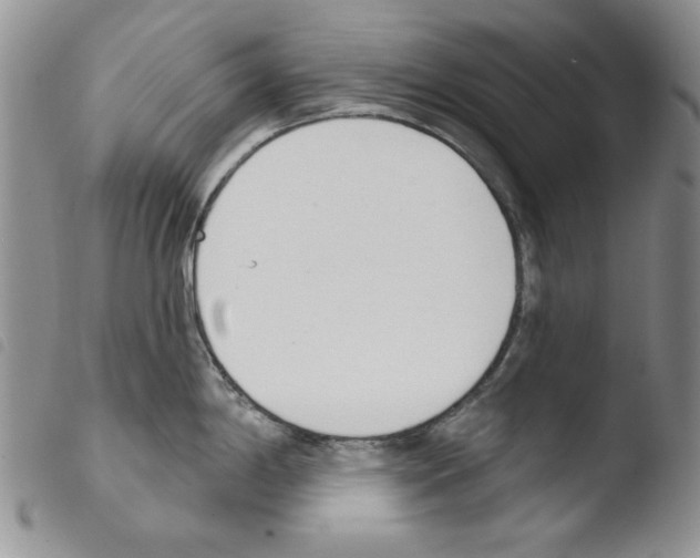 X0000103461198200810240942