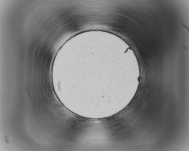 X0000103461199200810240942